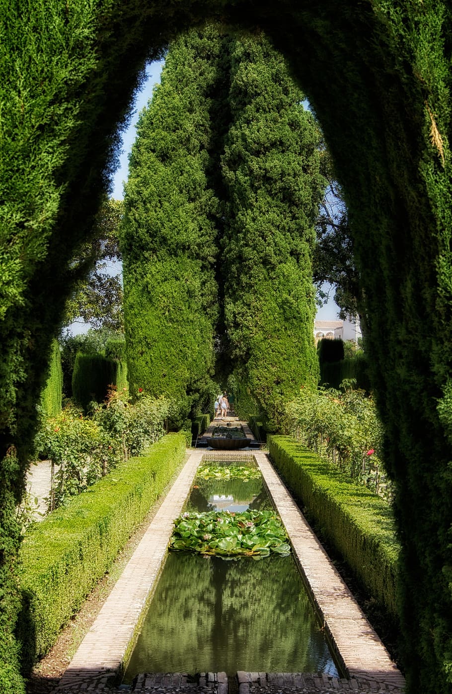 granada, spain, garden, pond, water, reflections, trees, plants, HD wallpaper