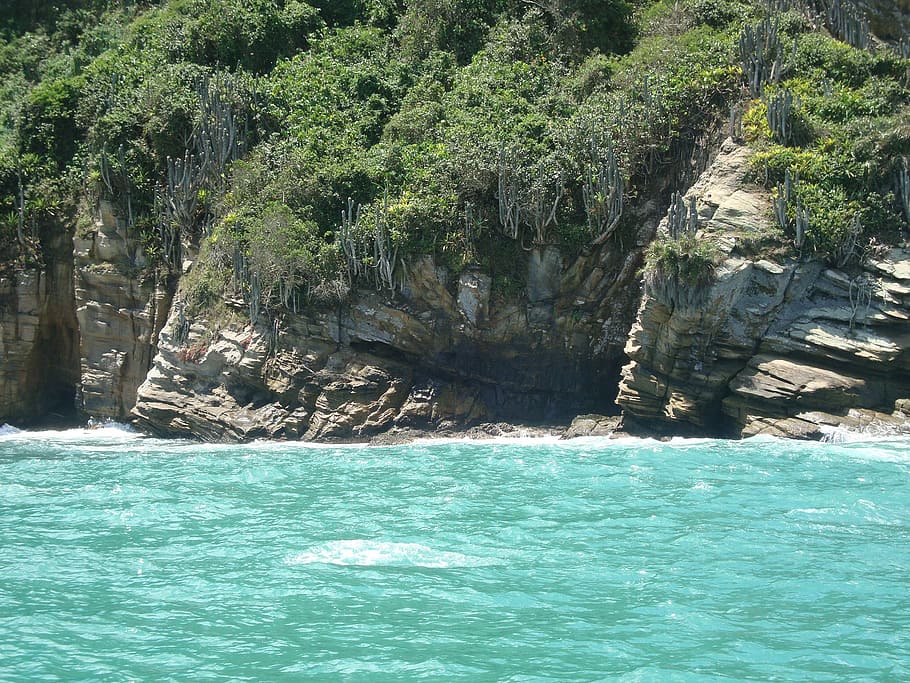 costa, búzios, mar, beach, water, tree, beauty in nature, waterfront HD wallpaper