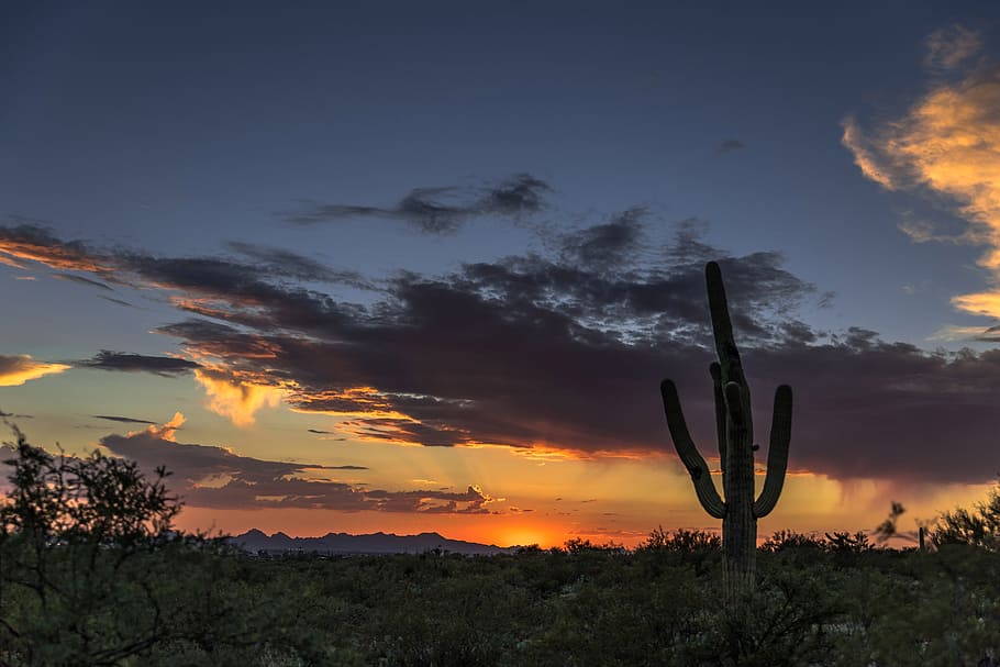 sunrise, cable, arizona, sky, sunset, plant, cactus, cloud - sky HD wallpaper