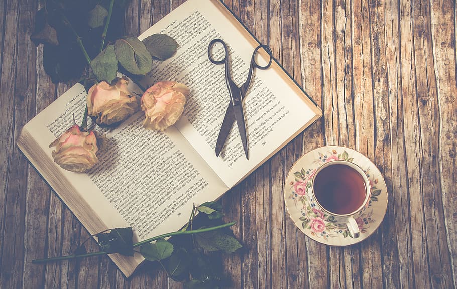 scissors on opened book beside rose near teapot on saucer, roses HD wallpaper