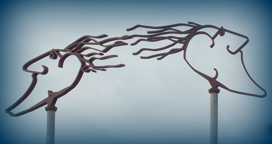 wind, heads, forward, blow, steadfast, no people, studio shot HD wallpaper