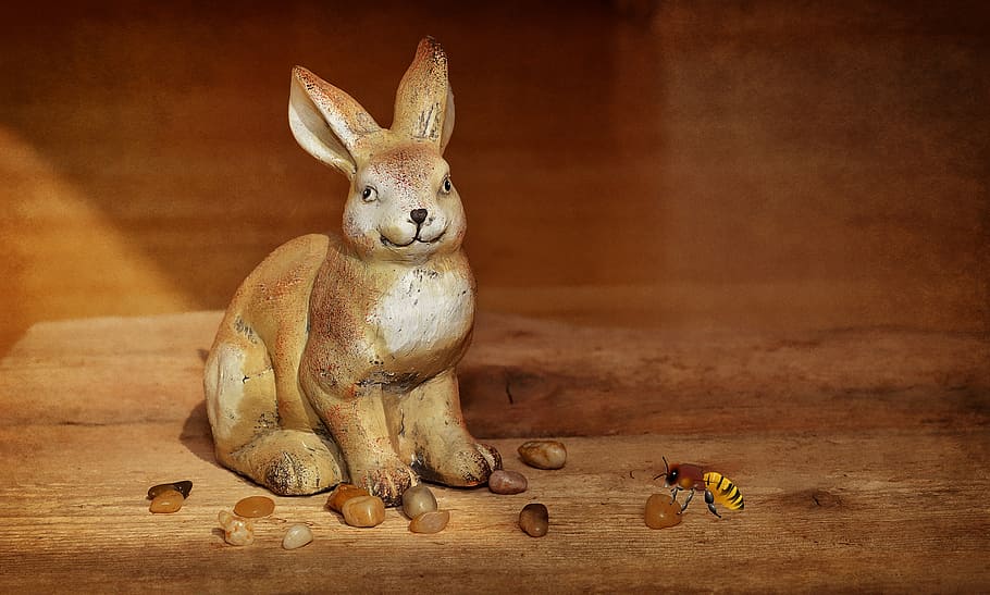 hare, dekohase, decoration, bee, stones, wood, easter, text dom HD wallpaper