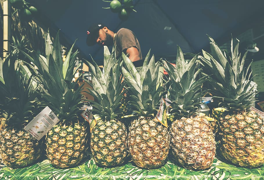 people, man, farmer, harvest, pineapple, fruits, food, food and drink HD wallpaper