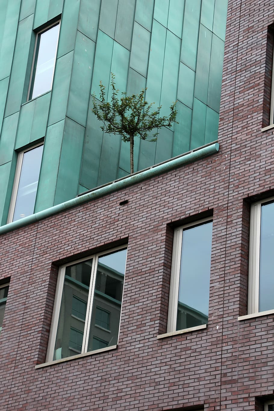 tree in the house, home, built structure, architecture, building exterior HD wallpaper