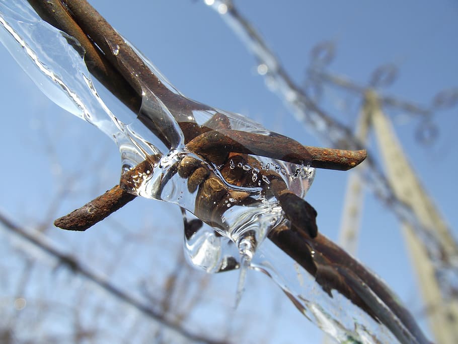 Barbed Wire, Ice, Winter, Snow, Frost, biel, white, nature HD wallpaper
