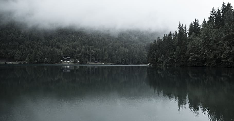 lakeside, resort, residence, forest, remote, tranquil, quiet HD wallpaper