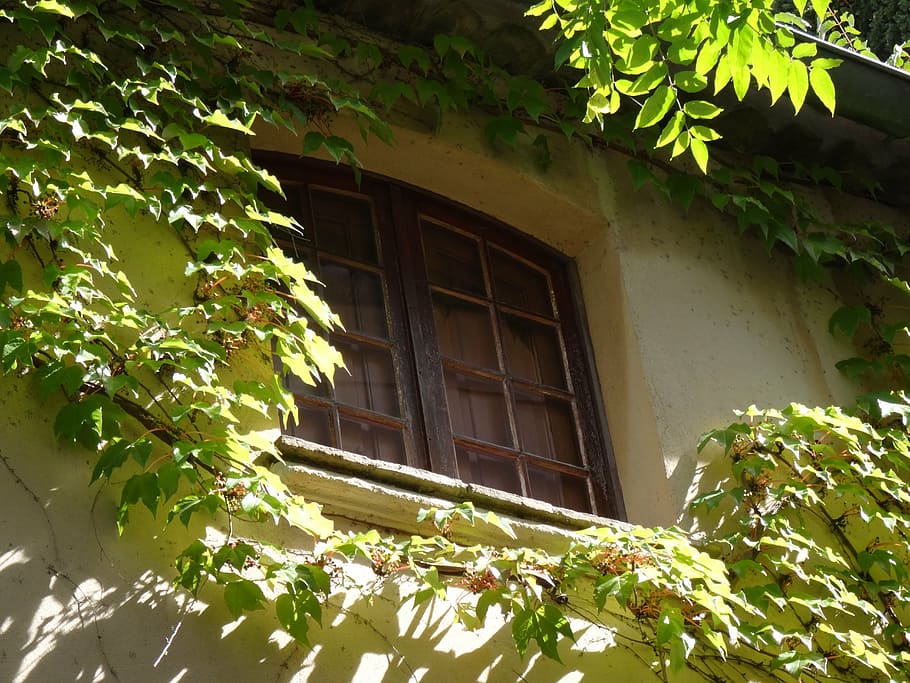 window, shutters, architecture, building, exterior, frame, house window HD wallpaper