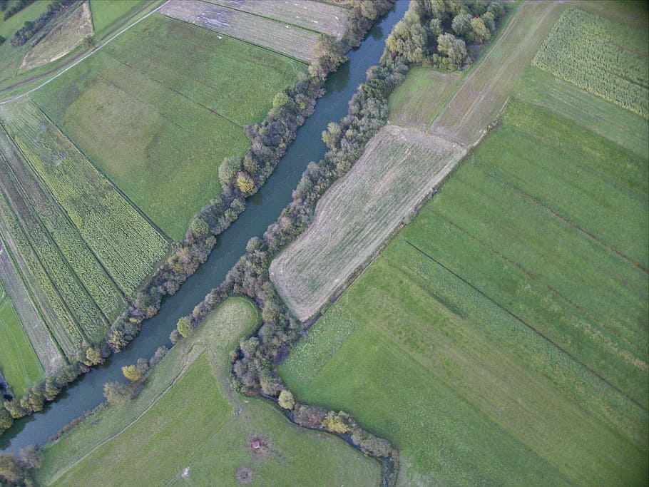 River and creek, aerial photography of river between trees, aerial view HD wallpaper
