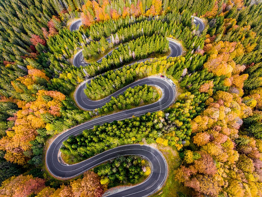 asphalt road surrounded by trees, aerial view of roadway beside trees HD wallpaper