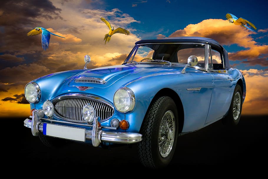 classic blue car, traffic, auto, oldtimer, austin, austin healey HD wallpaper