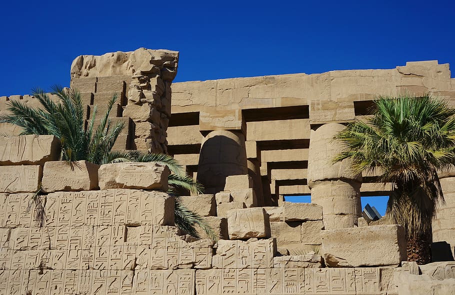 karnak, temple, columnar, hall, wall, palm trees, stones, egypt HD wallpaper