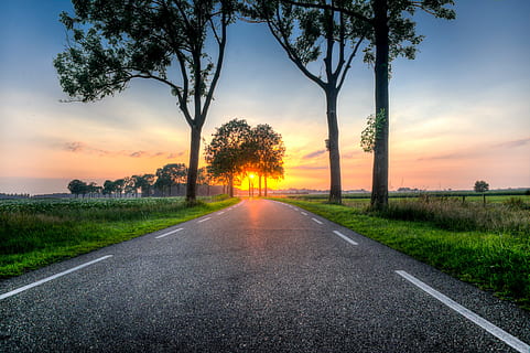 photo of gray concrete road between trees, sunset, asphalt HD wallpaper