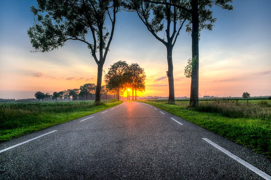 photo of gray concrete road between trees, sunset, asphalt HD wallpaper