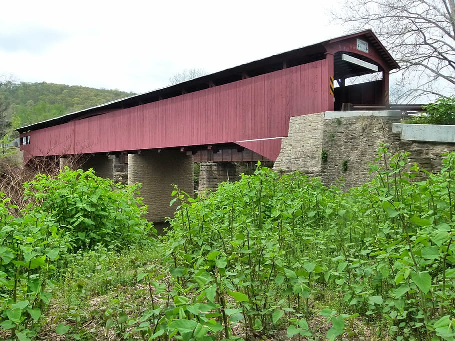 covered bridge, wood, historic, structure, country, scenic, HD wallpaper