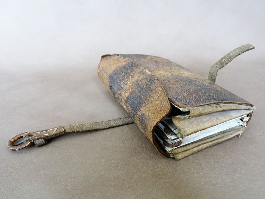 fish, tools, vishaakhouder, no people, metal, indoors, close-up HD wallpaper