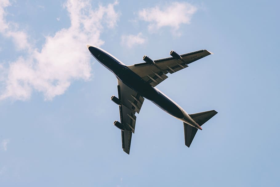 bottom view shot of plane under blue sky, airplane, travel, adventure, HD wallpaper