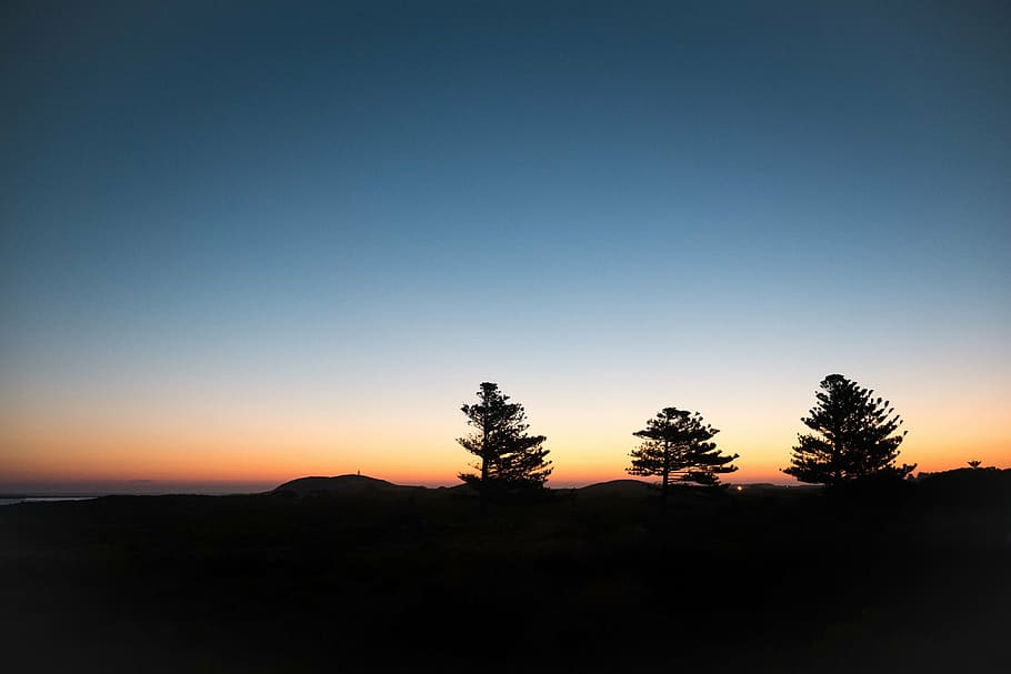 silhouette of trees during sunset, mountain, highland, cloud HD wallpaper