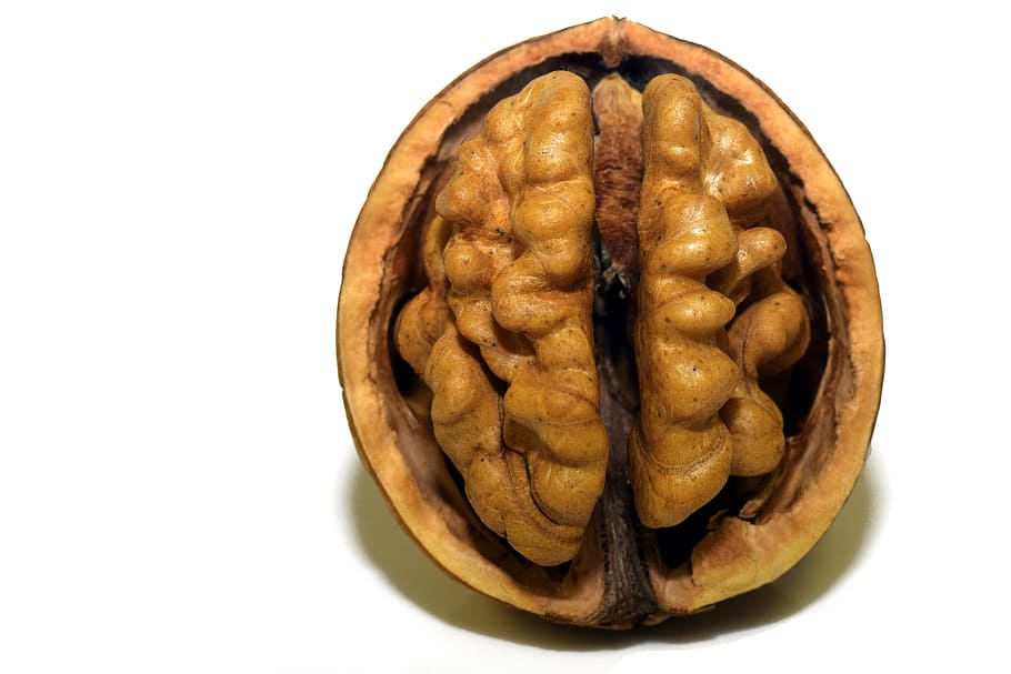 close-up photography of walnut, shell, nutshell, open, brain