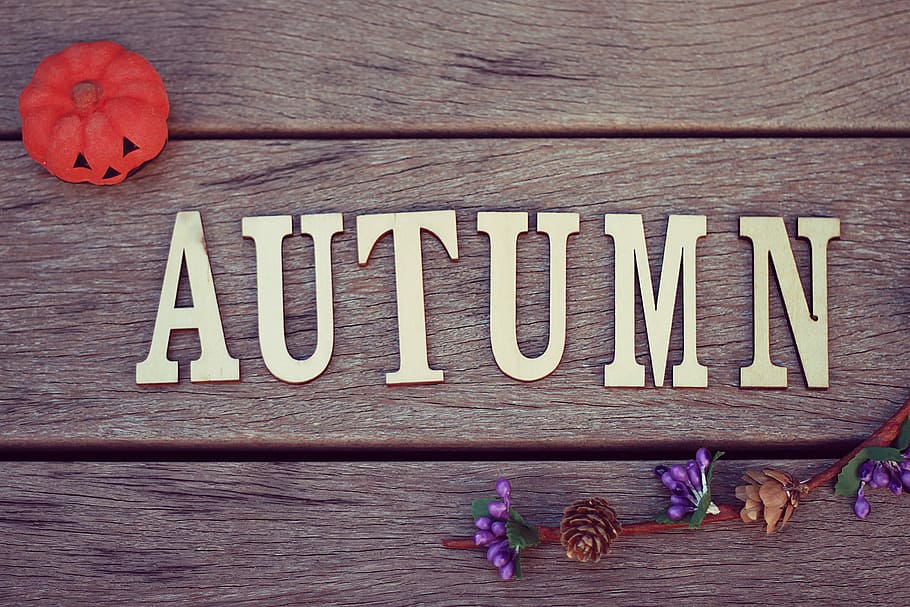 AUTUMN freestanding party favor above brown wooden plank, wood - Material HD wallpaper