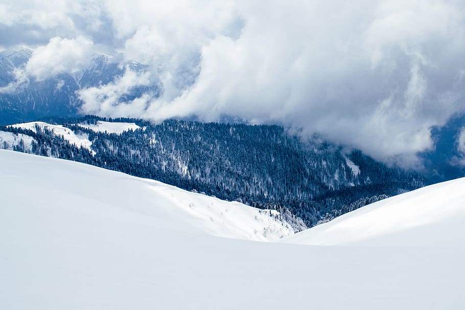 cold, forest, zing, mountains, nature, peaks, slopes, snow HD wallpaper