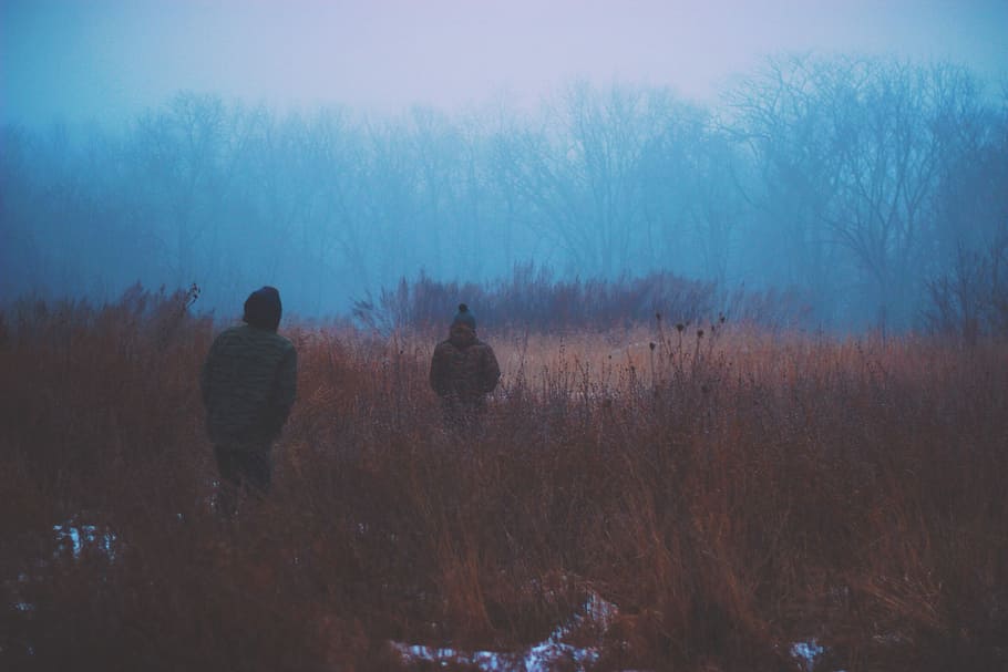 two people walking on brown grass field painting, two men on brown grassland HD wallpaper