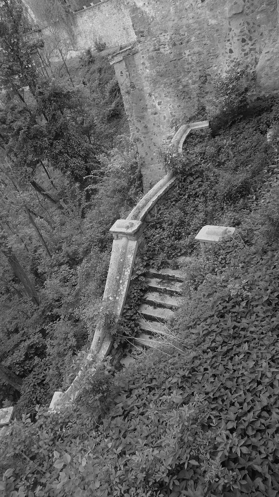 Stairs, Old, Step, Staircase, stairway, tread, footstep, flight HD wallpaper
