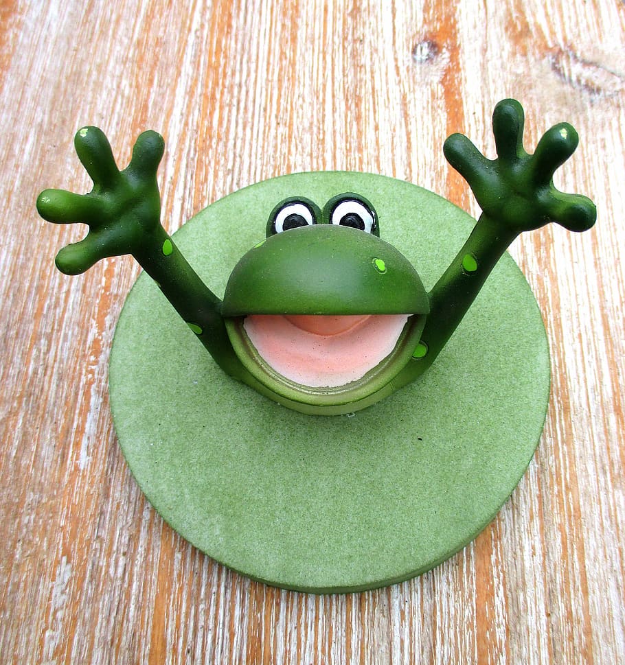 frog, drowning, help, save, fun, funny, green color, wood - material HD wallpaper