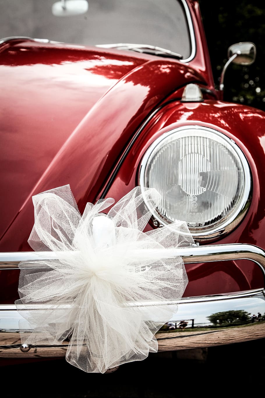 closeup photo of white bow on red Volkswagen Beetle headlight, HD wallpaper