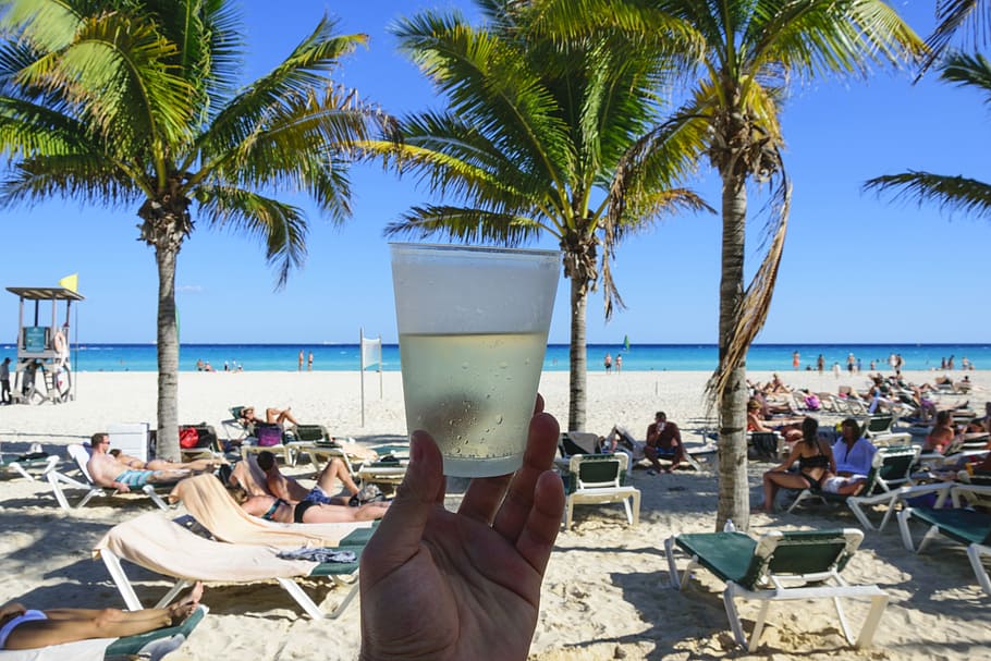 person holding glass drinking cup, Mexico, Cancun, Sun, Party HD wallpaper