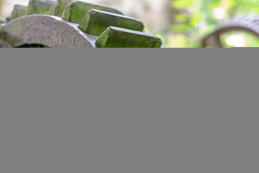 cogs, old derelict mill, rusty, no people, close-up, plant HD wallpaper