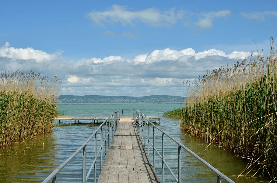 Hungarian, Lake Balaton, Summer, hungarian tenget, rest, colors