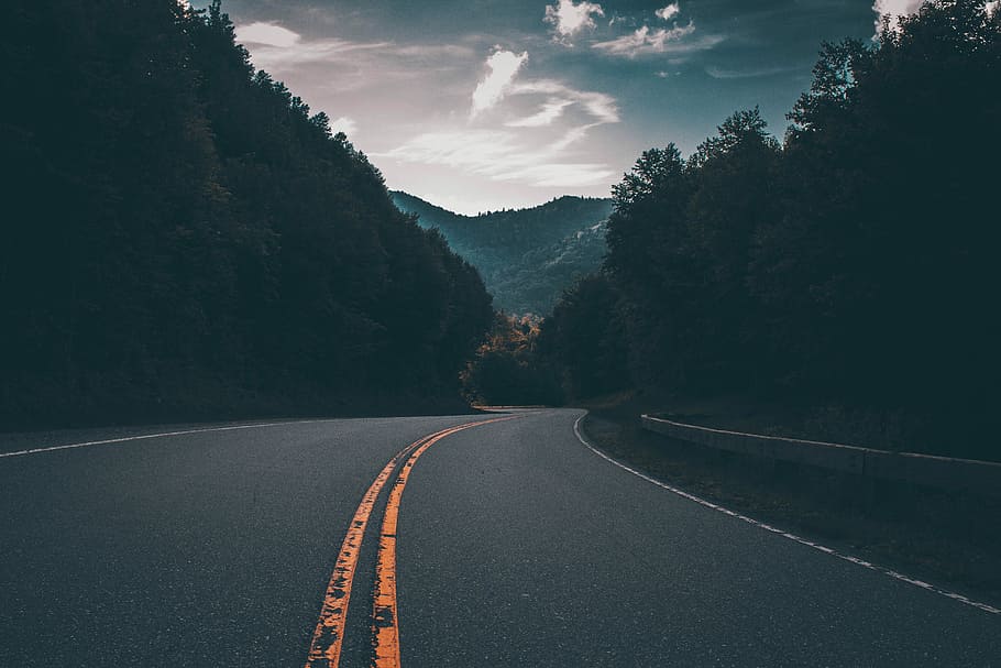 gray concrete road between trees, gray concrete road between trees under cloudy sky HD wallpaper