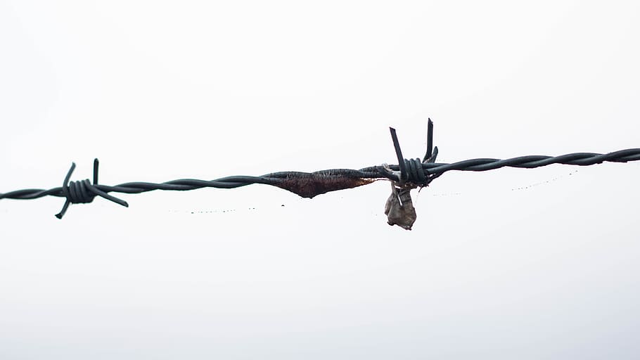 barbed wire, dangerous, scary, sharp, fence, security, barrier, HD wallpaper