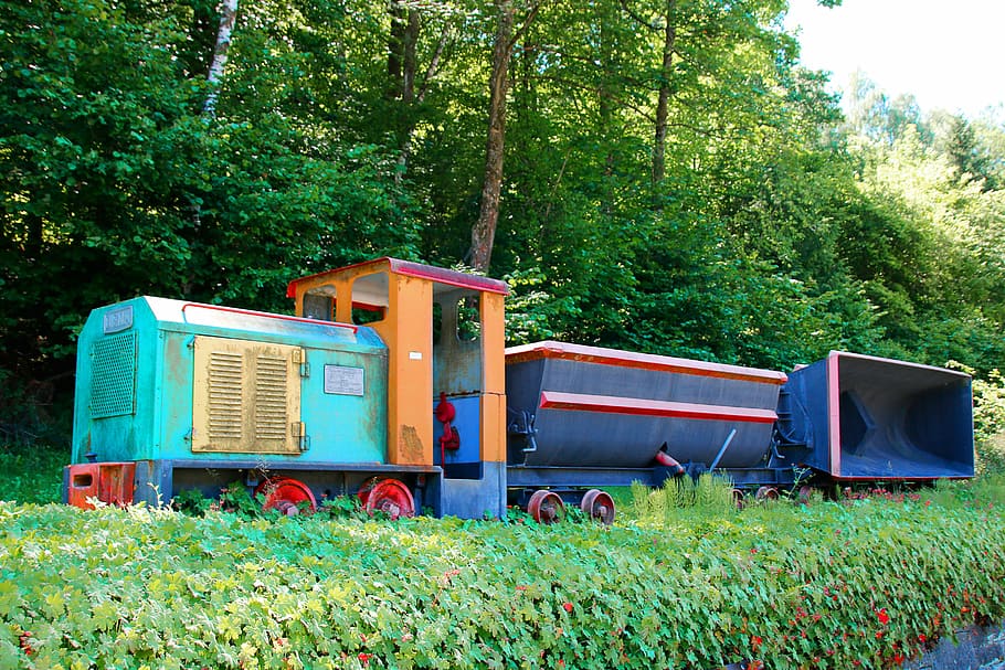 railway, train, rail traffic, plant, tree, land vehicle, transportation HD wallpaper