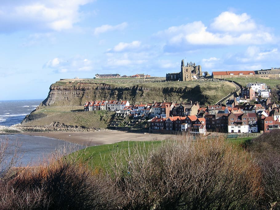 north yorkshire, whitby, harbour, abbey, architecture, built structure