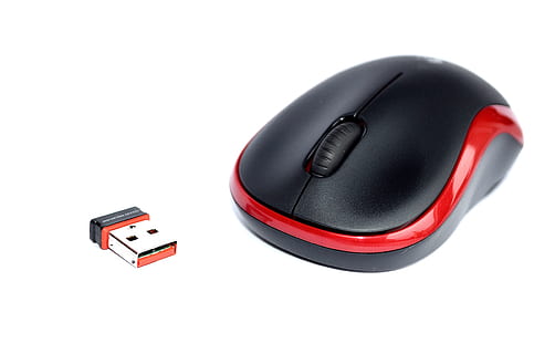 black and red wireless mouse and thumb drive, Logitech, M185 HD wallpaper