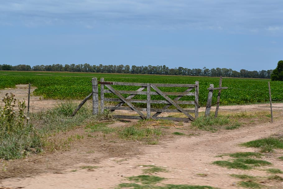 field, earth, grass, gate, wood, nature, landscape, agriculture HD wallpaper