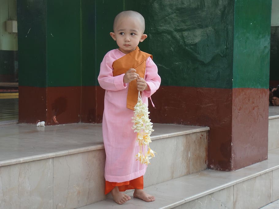 child, myanmar, burma, monk, sweet, diffident, girl, nun, pink, HD wallpaper