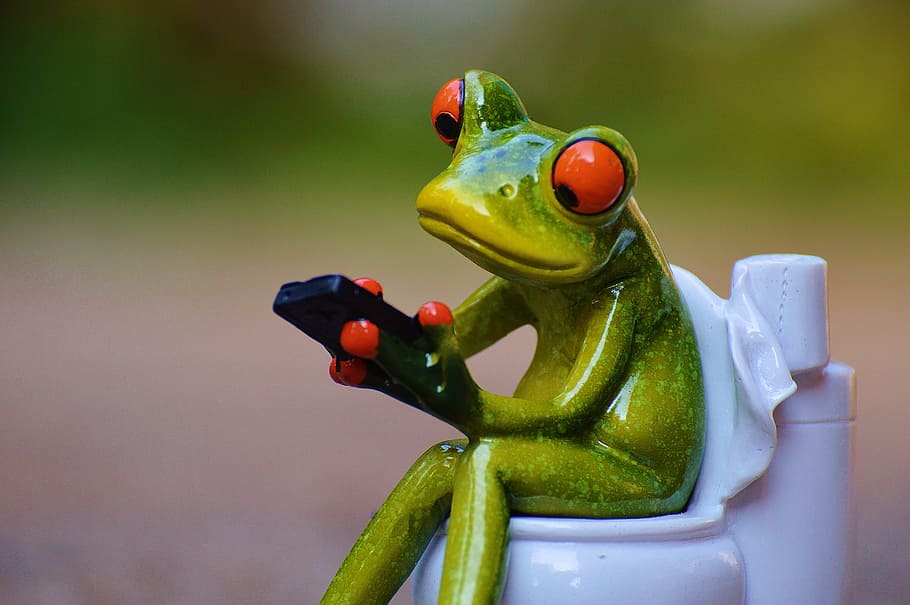 frog on toilet bowl figurine, mobile phone, loo, wc, funny, session
