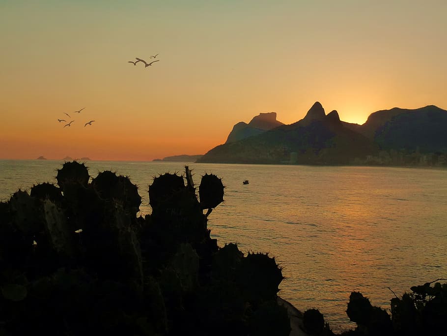 mar, ocean, beach, orla, litoral, rio de janeiro, brazil, water HD wallpaper