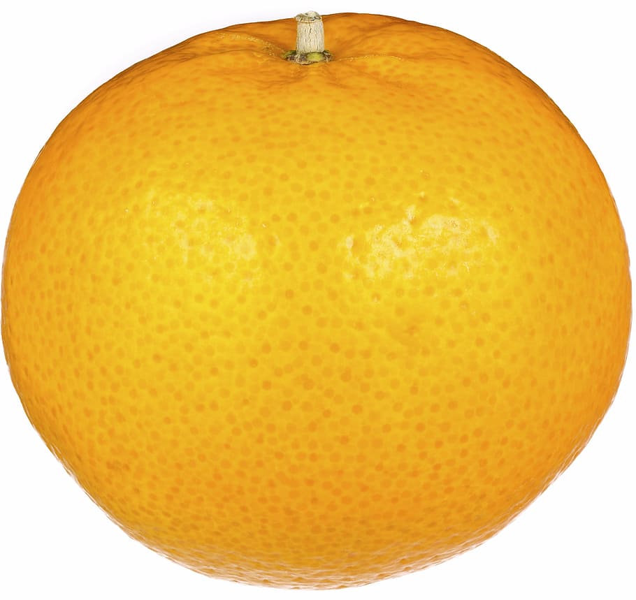 orange, fruit, fresh, white background, fruits and vegetables HD wallpaper