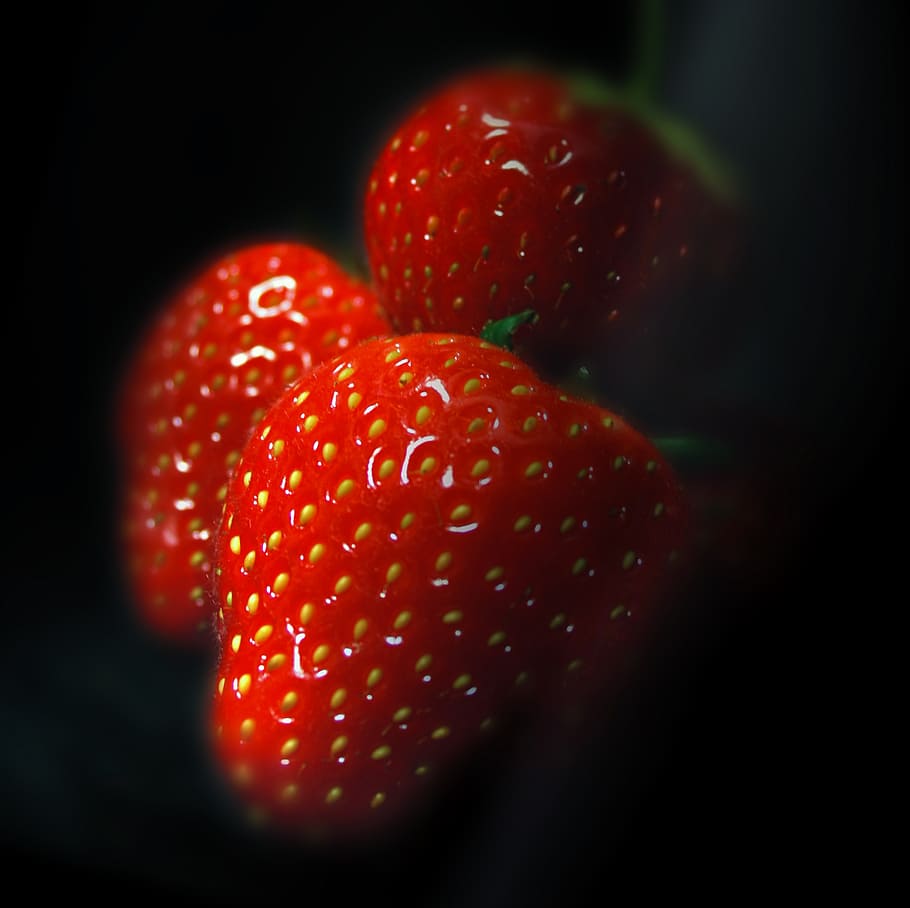 strawberry, fruit, red, sweet, berries, garden, plant, sunny HD wallpaper