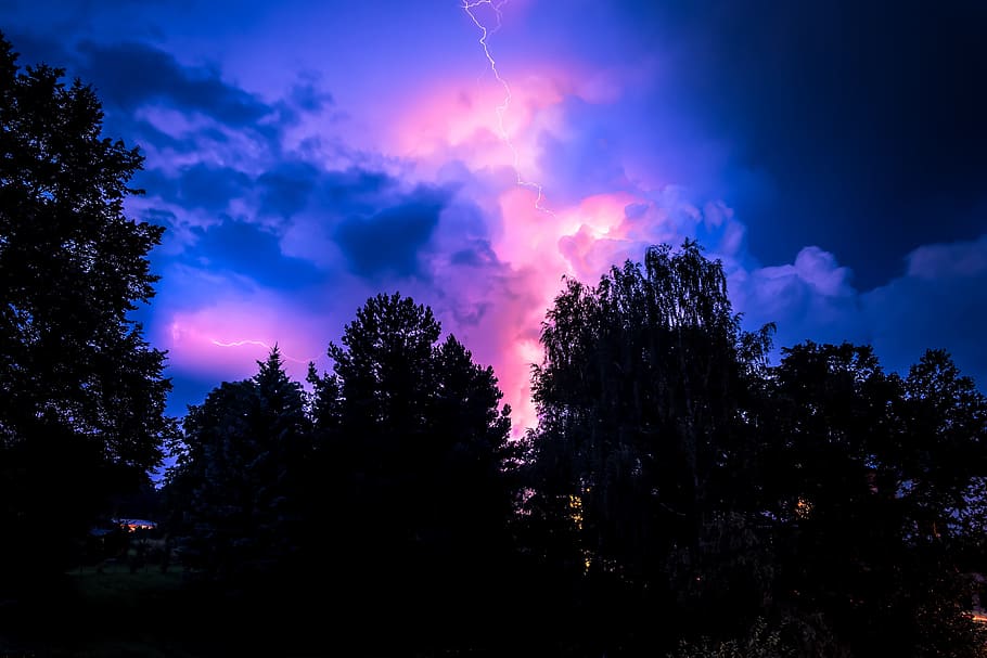 trees under purple and pink sky, landscape, flash, thunderstorm HD wallpaper