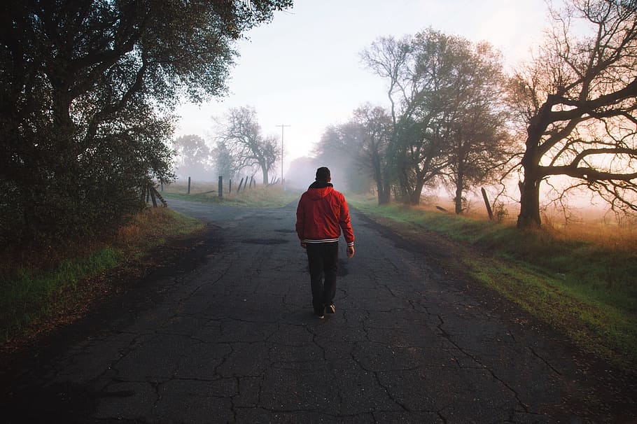 man walks on pathway near trees at daytime, guy, jacket, red HD wallpaper