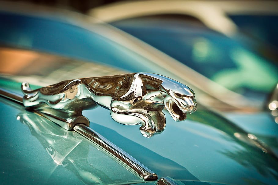 Jaguar hood ornament, auto, jaguar xk, automotive, oldtimer, vehicle, HD wallpaper