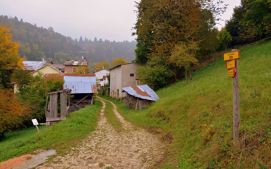 borgo, trail, tree, autumn, the european path, e5, lessinia HD wallpaper