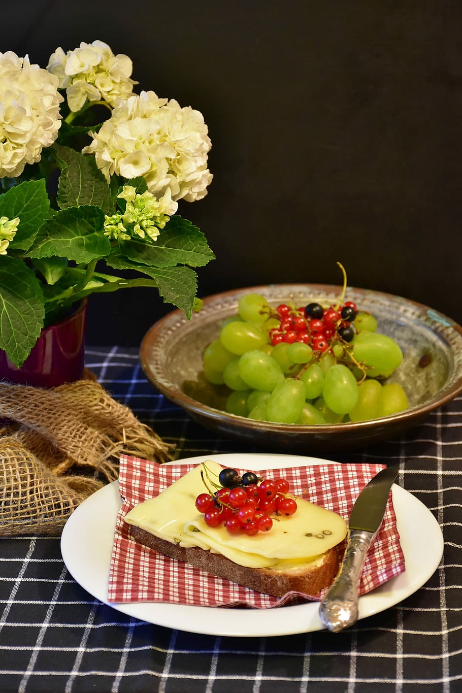 white grapes in bowl, Cheese, Bread, cheese bread, bread covering HD wallpaper