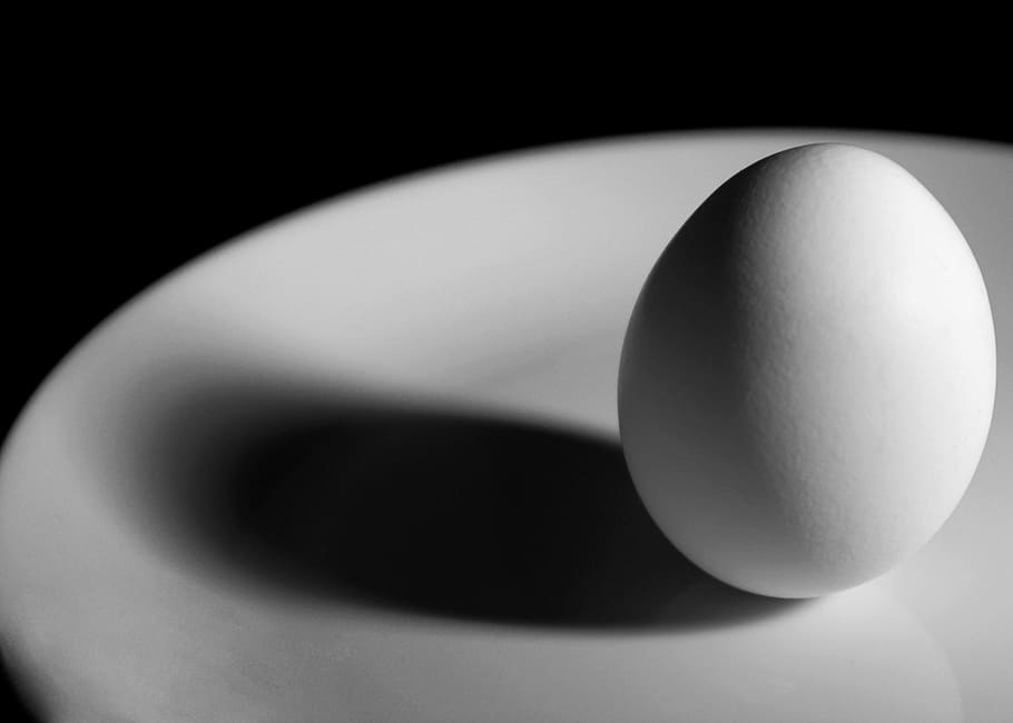 egg, breakfast, black and white, b w, shadow, plate, food, sport HD wallpaper