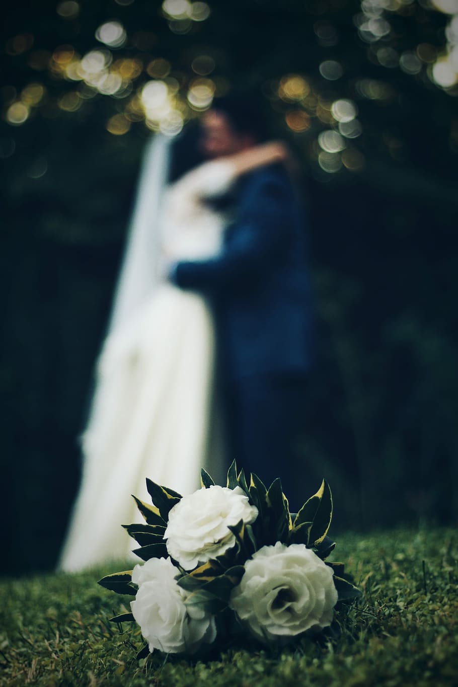 closeup photo of white petaled flowers, selective photo of white roses HD wallpaper