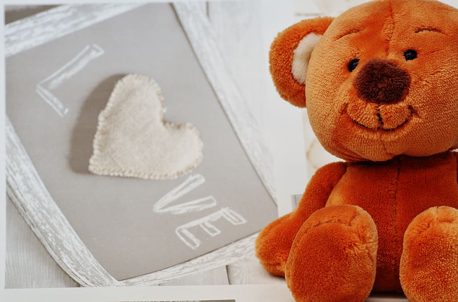 bear, teddy, cute, bears, plush, sweet, funny, teddy bear, animal HD wallpaper